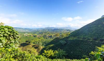 Private Service I Colombia's Grand Tour: Bogotá, The Coffee Region, Medellín, Tayrona & Cartagena — Domestic Flights Included — 3
