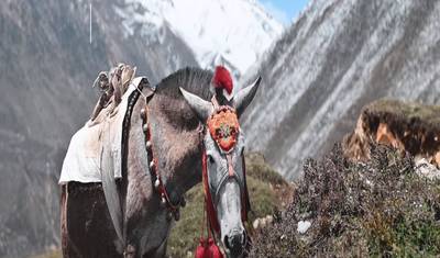 Trekking do Circuito Cultural de Manaslu - 9 Dias — 3