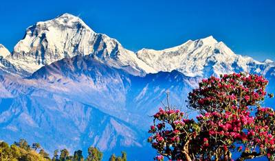 Annapurna Basecamp Heli Trek - 11 Days — 2