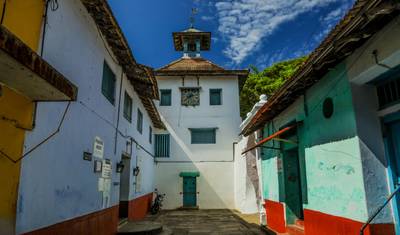 Tour por Plantações de Chá, Remansos e Praias de Kerala — 3