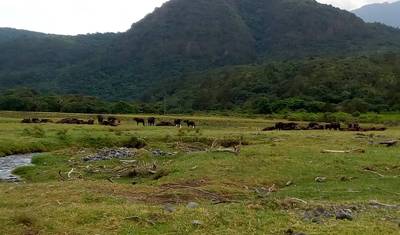 10 Dias de Grandes Migrações de Gnus no Norte da Tanzânia. — 4