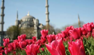 Istambul e Galípoli - 5 dias — 4