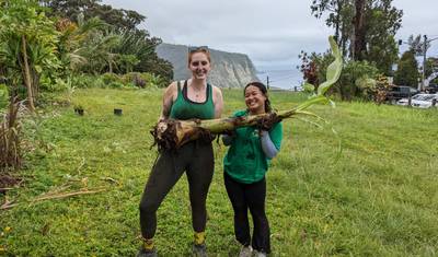 Hawai'i Big Island: Environmental Conservation, Cultural Preservation, and Snorkeling — 2