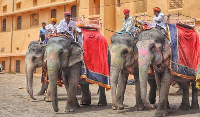 Rajasthan with Ranthambore — 2