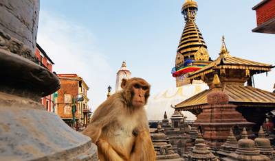 Majestatyczne Nepal — 4