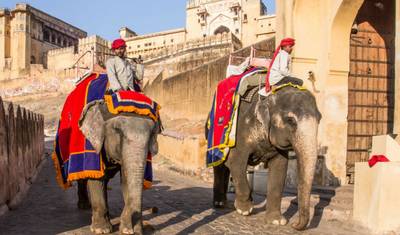 Exotic Rajasthan Tour — 2