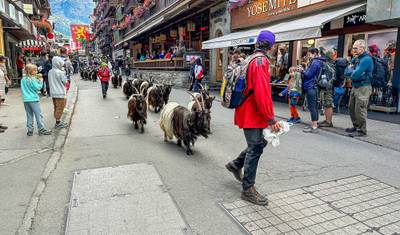 Customized 10 Days  Luxury Swiss Circle Tour with Daily Departure & 4-star Hotels — 4