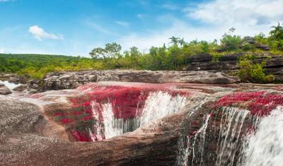 Caño Cristales z Bogoty: 3-dniowa wycieczka Szlak Tęczowej Rzeki — 3