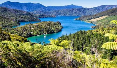 Wędruj po Nowej Zelandii: Abel Tasman i Queen Charlotte — 5
