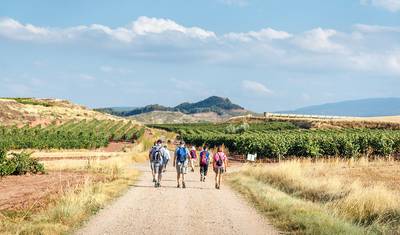 Przejdź Camino de Santiago — 2
