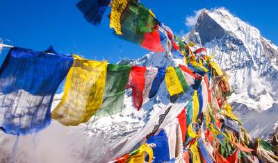 Trek N Wild Nepal — 3