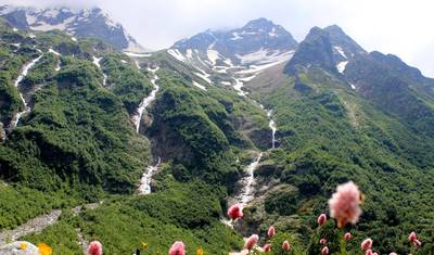 Trek N Wild Nepal — 4
