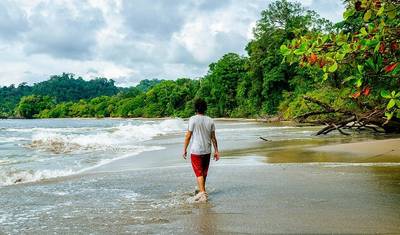 Passe de Viagem de Antígua para São José — 5