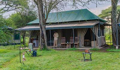 Przeżyj nasze 4-dniowe prywatne safari all-inclusive i premium podczas migracji w Południowym Serengeti z Arushy w Tanzanii — 3