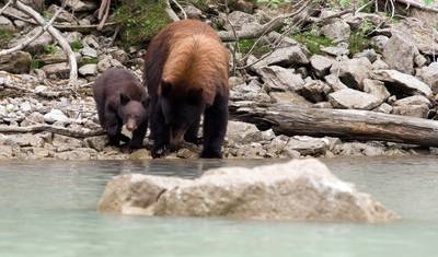 Descubra as Montanhas Rochosas Canadenses — 4