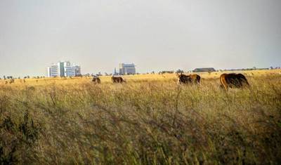 Najlepsza jednodniowa wycieczka do Nairobi: Park Narodowy Nairobi, Sierociniec dla Słoni i Centrum Żyraf z przewodnikiem — 4