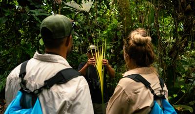 4 Dias na Amazônia | Parque Nacional Yasuní (Voos Domésticos Incluídos) — 3