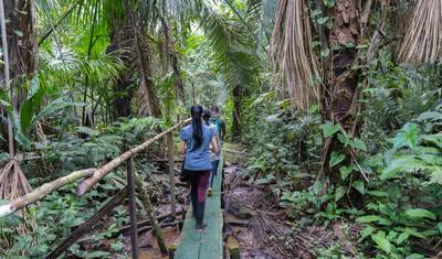 4 Dias na Amazônia | Parque Nacional Yasuní (Voos Domésticos Incluídos) — 4