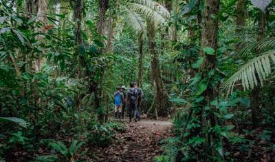4 Dias na Amazônia | Parque Nacional Yasuní (Voos Domésticos Incluídos) — 5