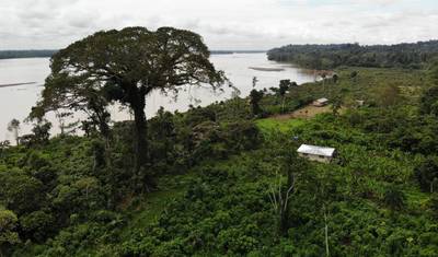 Experiência de 4 Dias no Lodge El Coca na Amazônia (Reserva Yarina) — 2