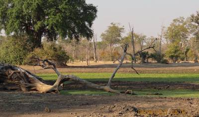 9 Dias, Chobe Definitivo, Elephant Sands, Makgadikgadi Pans, Safári no Delta do Okavango e Moremi — 3