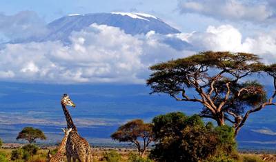 6 Days Migration Lodging Safari — 2