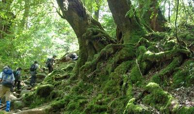 The lost Islands of Japan — 4