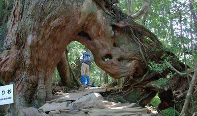 The lost Islands of Japan — 5
