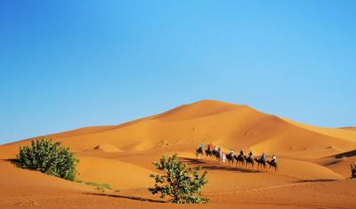 جولة في صحراء Sahara لمدة 3 أيام مع مخيم فاخر: من مراكش إلى فاس — 5