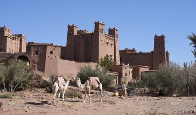 جولة في صحراء Sahara لمدة 3 أيام مع مخيم فاخر: من مراكش إلى فاس — 5