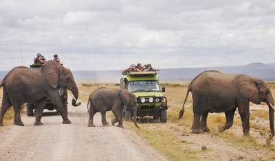 8-dniowe safari po dzikiej Kenii (w tym Maasai Mara) i przedłużenie wakacji na plaży w Mombasie — 2