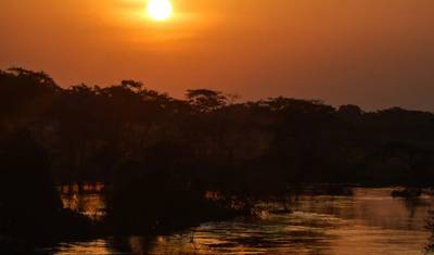 Safari pela Vida Selvagem do Uganda Ocidental — 2