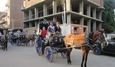جولة في مدينة الأقصر بعربة حصان — 2