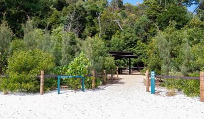 Transfer na kemping Whitehaven Beach — 2