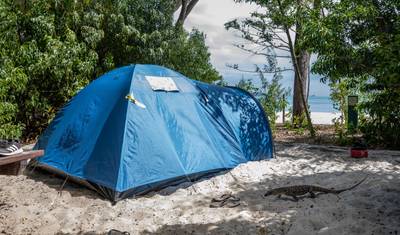 Transfer na kemping Whitehaven Beach — 3
