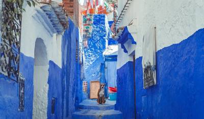Morocco Tour Casablanca 13 Days — 2