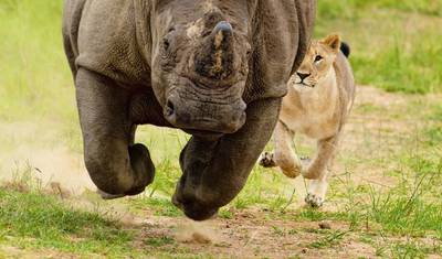 3  days Semi  luxury tour  featuring Serengeti & Ngorongoro crater — 5