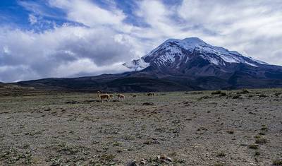Wspinaczka na Chimborazo (5 dni) — 3