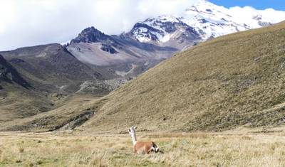 Wspinaczka na Chimborazo (5 dni) — 4
