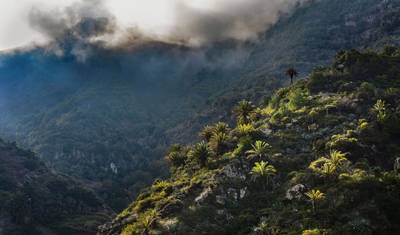 La Gomera - Wędrówka po klejnocie Wysp Kanaryjskich (8 dni) — 3