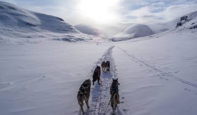6‑Day Northern Lights Journey: Alaska Winter Wonders — 2