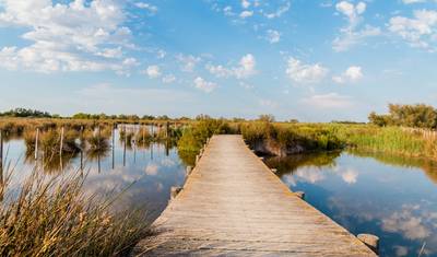 5-Days in Camargue from Arles, Provence — 5