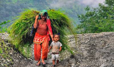 Annapurna Family Trekking in comfort — 2