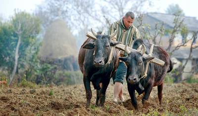 Annapurna Family Trekking in comfort — 3