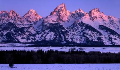 7日間究極の冬の旅：Yellowstone & Grand Teton — 3