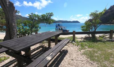 Transfer para Acampamento em Crayfish Beach, Hook Island — 2