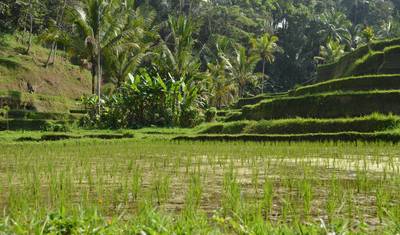 Bali - praia e cultura combinadas em uma ilha — 4