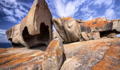 【Adelaide】Pacote de 6 Dias para Explorar as Maravilhas da Ilha Kangaroo e Adelaide — 2