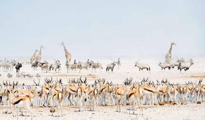 15 Days All About Namibia | Private Guided Lodge — 2