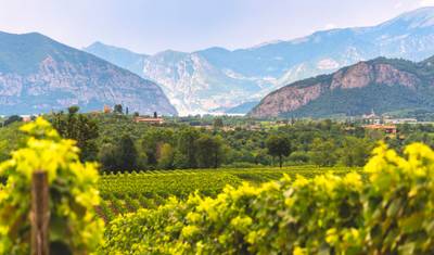 Tour de Vinho Privado, Franciacorta, Lago de Garda e Verona - Tour de 5 Dias — 4
